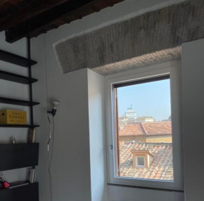 Cosy Reginella
